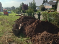 IMG_20140906_101235.jpg