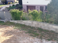 IMG_20150410_175403.jpg