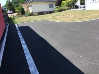 IMG_0431