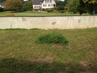 IMG_20140928_122859.jpg