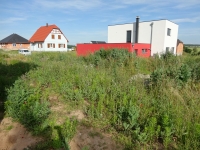 DSC01684