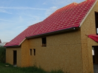 DSC00920.jpg