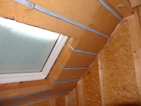 DSC01367.jpg
