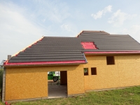 DSC01101.jpg