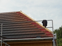 DSC01105.jpg