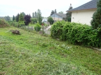 DSC00887.jpg