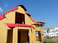 DSC00903.jpg
