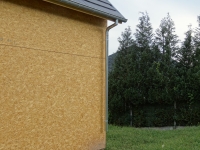 DSC01140.jpg