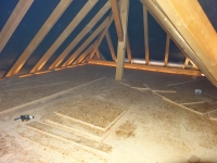 DSC01224.jpg
