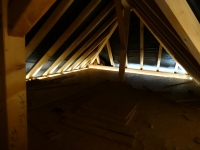 DSC01227.jpg