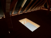 DSC01234.jpg